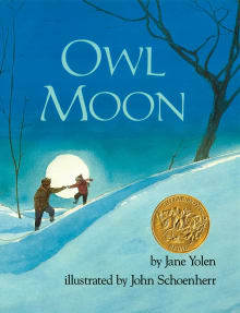 The best children's picture books about the sun and moon