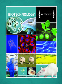 Book cover of Biotechnology: In Context