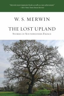 Book cover of The Lost Upland: Stories of Southwestern France