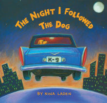 Book cover of The Night I Followed the Dog