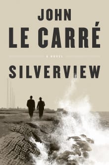 Book cover of Silverview