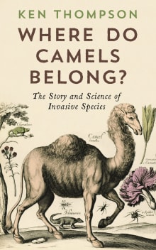 Book cover of Where Do Camels Belong?: Why Invasive Species Aren't All Bad