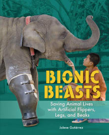 Book cover of Bionic Beasts: Saving Animal Lives with Artificial Flippers, Legs, and Beaks