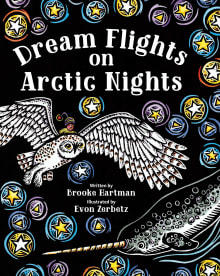 Book cover of Dream Flights on Arctic Nights