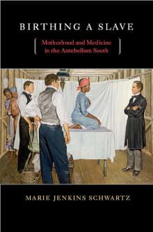 Book cover of Birthing a Slave: Motherhood and Medicine in the Antebellum South