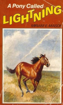 Book cover of A Pony Called Lightning