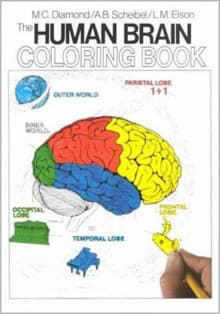 Book cover of The Human Brain Coloring Book