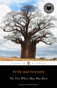 Book cover of The Tree Where Man Was Born