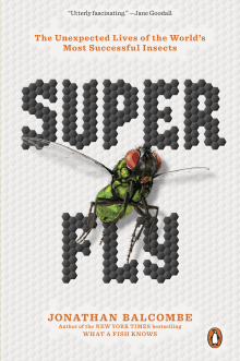 Book cover of Super Fly: The Unexpected Lives of the World's Most Successful Insects