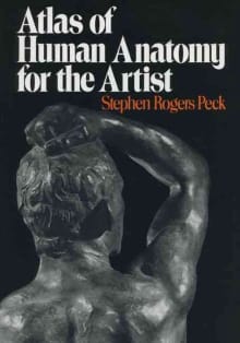 The best books on human anatomy for artists