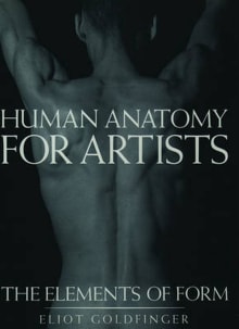 The best books on human anatomy for artists