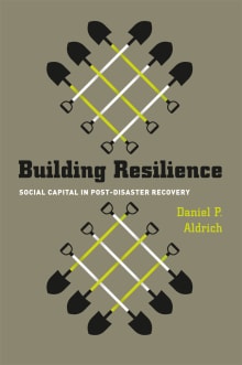 Book cover of Building Resilience: Social Capital in Post-Disaster Recovery