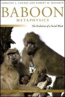 Book cover of Baboon Metaphysics: The Evolution of a Social Mind
