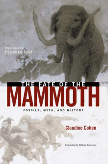 Book cover of The Fate of the Mammoth: Fossils, Myth, and History