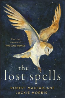 Book cover of The Lost Spells
