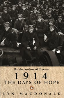 Book cover of 1914 Days Of Hope