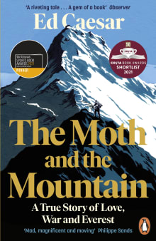 Book cover of The Moth and the Mountain