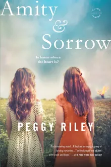 Book cover of Amity & Sorrow