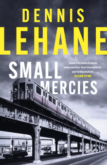 Book cover of Small Mercies