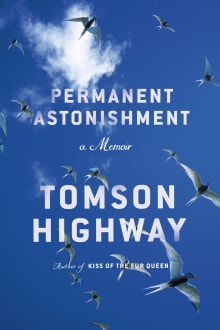 Book cover of Permanent Astonishment