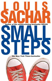 Book cover of Small Steps