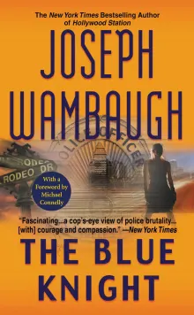 Book cover of The Blue Knight