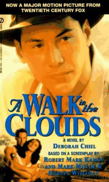 Book cover of A Walk in the Clouds