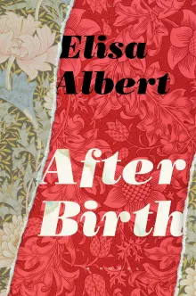 Book cover of After Birth