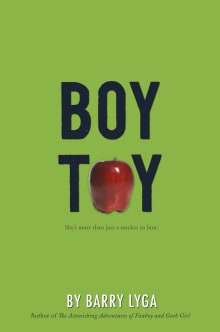 Book cover of Boy Toy