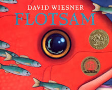 Book cover of Flotsam