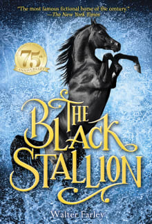 Book cover of The Black Stallion