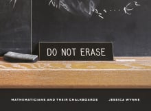 Book cover of Do Not Erase: Mathematicians and Their Chalkboards