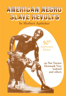 Book cover of American Negro Slave Revolts