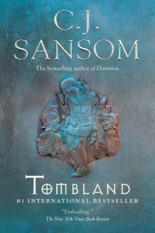 Book cover of Tombland