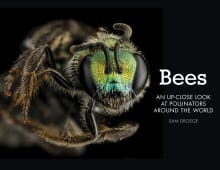 Book cover of Bees: An Up-Close Look at Pollinators Around the World