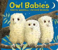 Book cover of Owl Babies