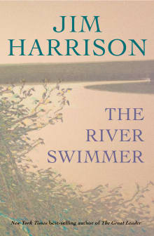 Book cover of The River Swimmer