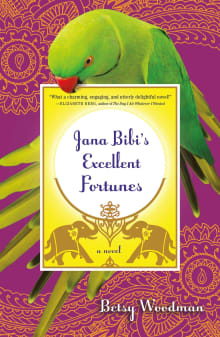 Book cover of Jana Bibi's Excellent Fortunes