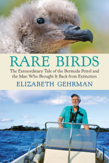 Book cover of Rare Birds: The Extraordinary Tale of the Bermuda Petrel and the Man Who Brought It Back from Extinction