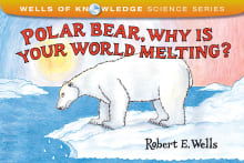 Book cover of Polar Bear, Why Is Your World Melting?