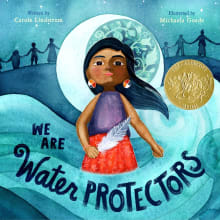 Book cover of We Are Water Protectors