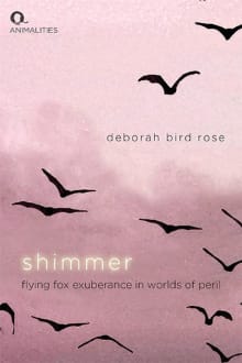 Book cover of Shimmer: Flying Fox Exuberance in Worlds of Peril