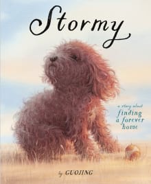 Book cover of Stormy: A Story about Finding a Forever Home