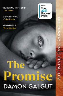 Book cover of The Promise