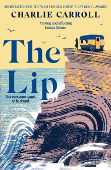 Book cover of The Lip: a novel of the Cornwall tourists seldom see