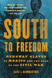 Book cover of South to Freedom: Runaway Slaves to Mexico and the Road to the Civil War