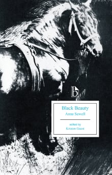 How Anna Sewell wrote Black Beauty, the 'hymn to a horse' whose influence  on animals is still felt today - Country Life