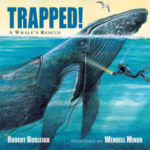 Book cover of Trapped! A Whale's Rescue