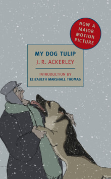 Book cover of My Dog Tulip