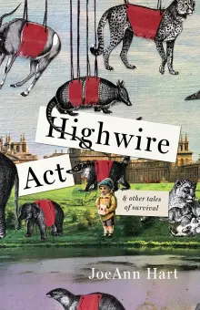 Book cover of Highwire Act & Other Tales of Survival